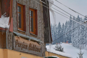 Гостиница Penzion Bublava, Бублава